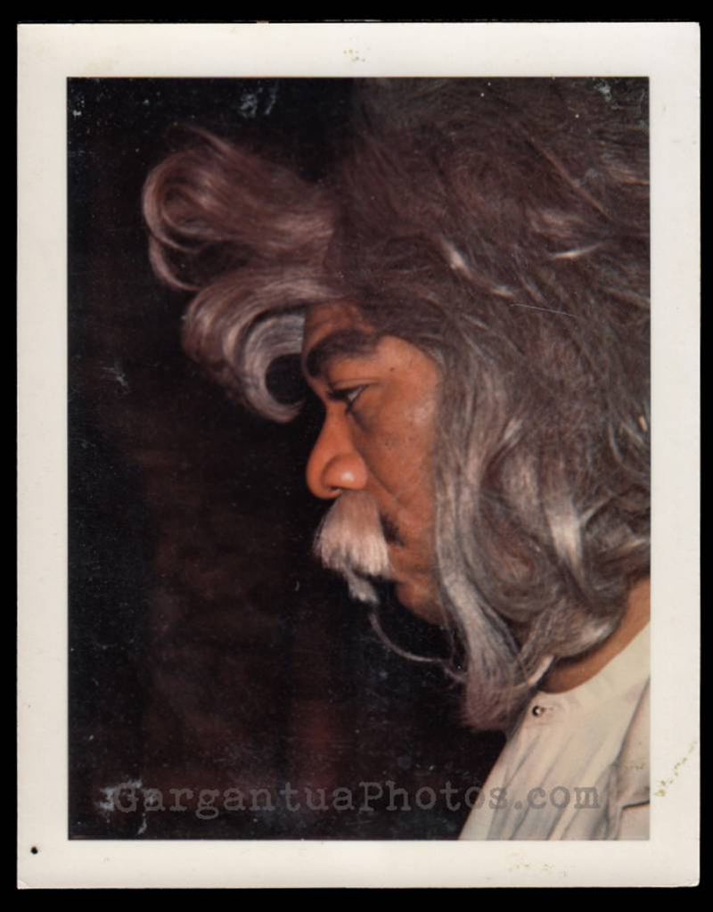 Illustration for article titled Amazing Polaroids capture Morgan Freeman during his Electric Company days